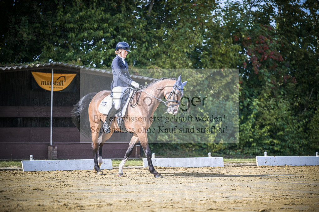 DOS_7736 | Entdecke hochwertige Reitturnierfotos von Foto Oger. Professionell, emotional und authentisch – jetzt Lieblingsmomente im Shop bestellen.Deutschlandweite Turnierfotografie. - Realisiert mit Pictrs.com