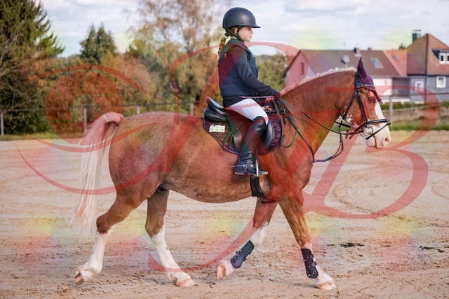 2026_10_03_Siefer-Hof_144333_Z81_17113788 | Professionelle Reitsport-, Turnier- und Eventfotografie von Robert Broda. Galerien mit ausgewählten und bearbeiteten Bildern direkt online ansehen und bestellen.