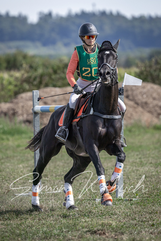20250907-_3LI2104 | Tierfotografie Pferde, Hunde, Katzen, Haustiere.
Turnierfotografie Reitturniere, Reiten, Springreiten, Dressur in Hanau, dem Main-Kinzig-Kreis und dem Rhein-Main- Gebiet um Frankfurt