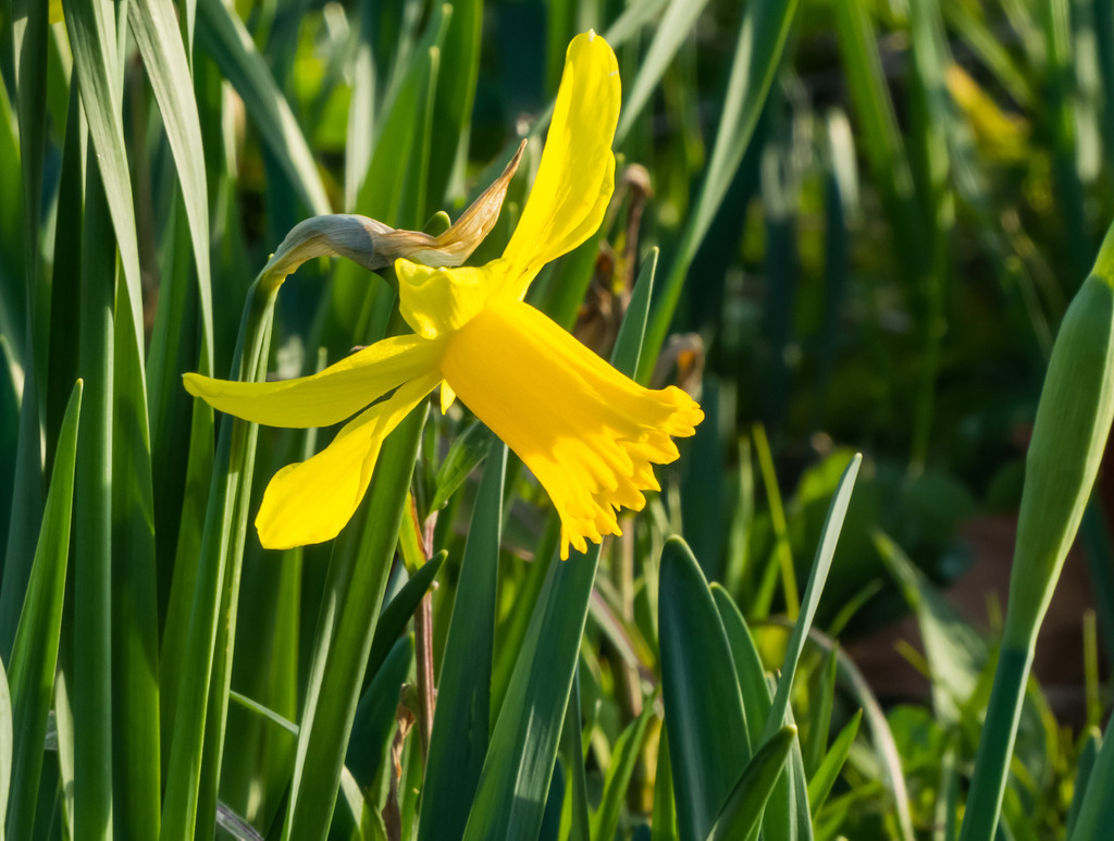 PSX_20230318_235826 | mtkfoto_ - Realisiert mit Pictrs.com