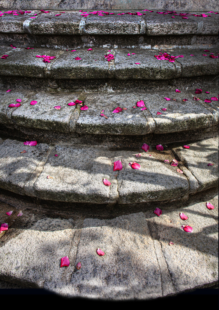 Treppe ins Glück_07316a | Treppenaufgang zum Kindergarten Martinsgrund in Ebersweier