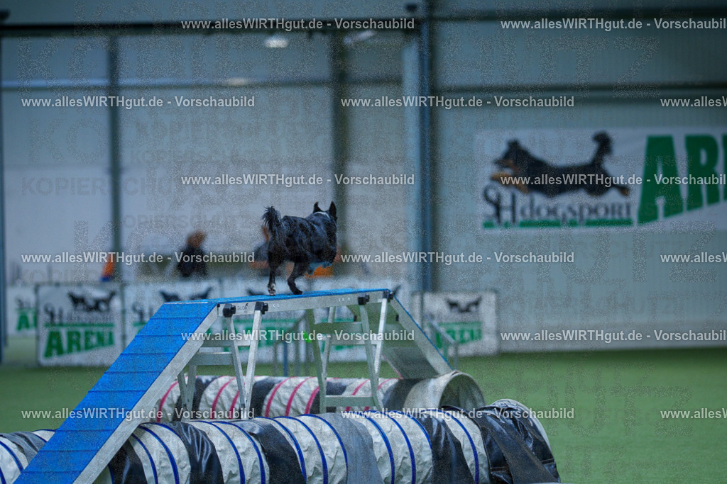 @allesWIRTHgut_Tierfotografie - www.allesWIRTHgut.de - 2604261529-7R505757 | Professionelle Tierfotografie in Mönchengladbach von Daniel Wirth (allesWIRTHgut). Liebevolle & natürliche Bilder von Hunden & Katzen für unvergessliche Erinnerungen.