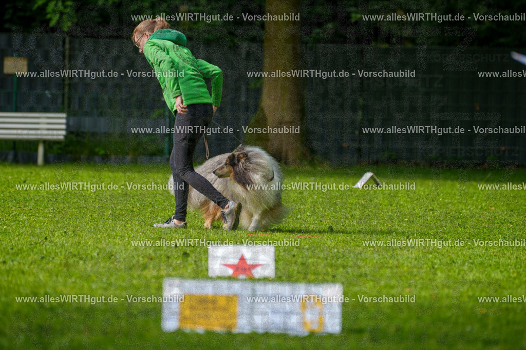 @allesWIRTHgut_Tierfotografie - www.allesWIRTHgut.de - 7R502165 | Professionelle Tierfotografie in Mönchengladbach von Daniel Wirth (allesWIRTHgut). Liebevolle & natürliche Bilder von Hunden & Katzen für unvergessliche Erinnerungen.