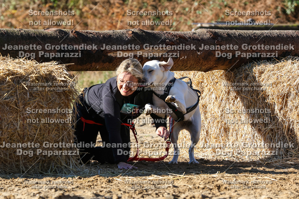 Dog Paparazzi - Strongdog 10-25-2324 | Dog Paparazzi Jeanette Grottendiek Fotografie & Videografie - Realisiert mit Pictrs.com