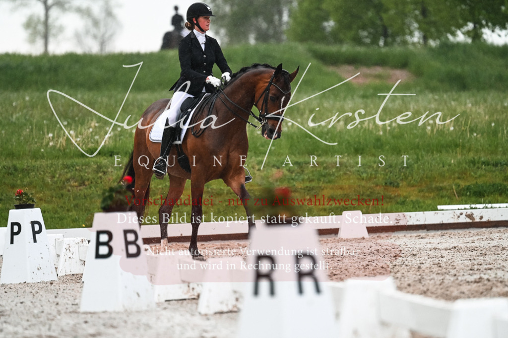 DSC_4585 | Pferde- und Turnierfotografie in Westsachsen. Pferdeportraits, Auftragszeichnungen und intuitive Kunst.
