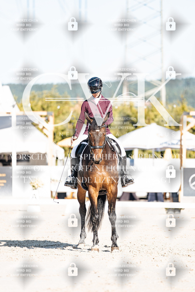 CK907508 | Turnierfotografie Pferdefotografie Trier Rheinland-Pfalz Pferdesport Reitsport Tierfotografie Sportfotografie Pferdevideo Pferdevideografie Equestrianvideography equestrianphotography  - Realisiert mit Pictrs.com