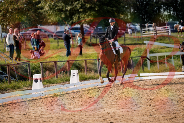 2026_10_03_Siefer-Hof_131711_Z63_78740130 | Professionelle Reitsport-, Turnier- und Eventfotografie von Robert Broda. Galerien mit ausgewählten und bearbeiteten Bildern direkt online ansehen und bestellen.