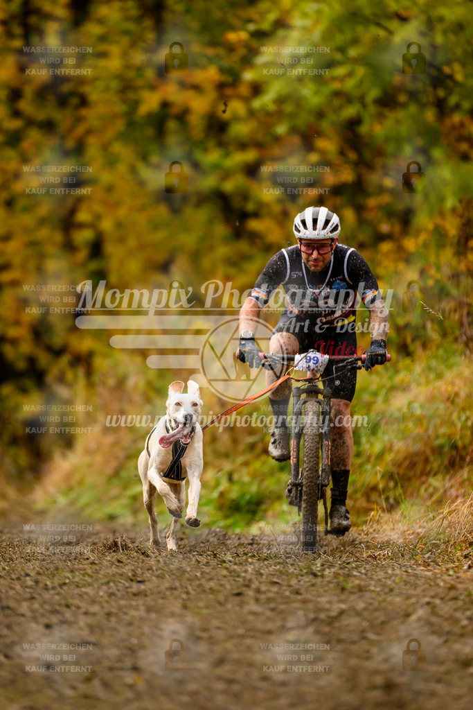 MompixPhotography_ICF_WC_2024_SA_Bike_-60 | PayLife