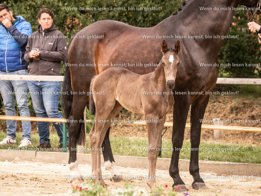 A10I3591 15.58.10 | photographylinaismer - Realisiert mit Pictrs.com