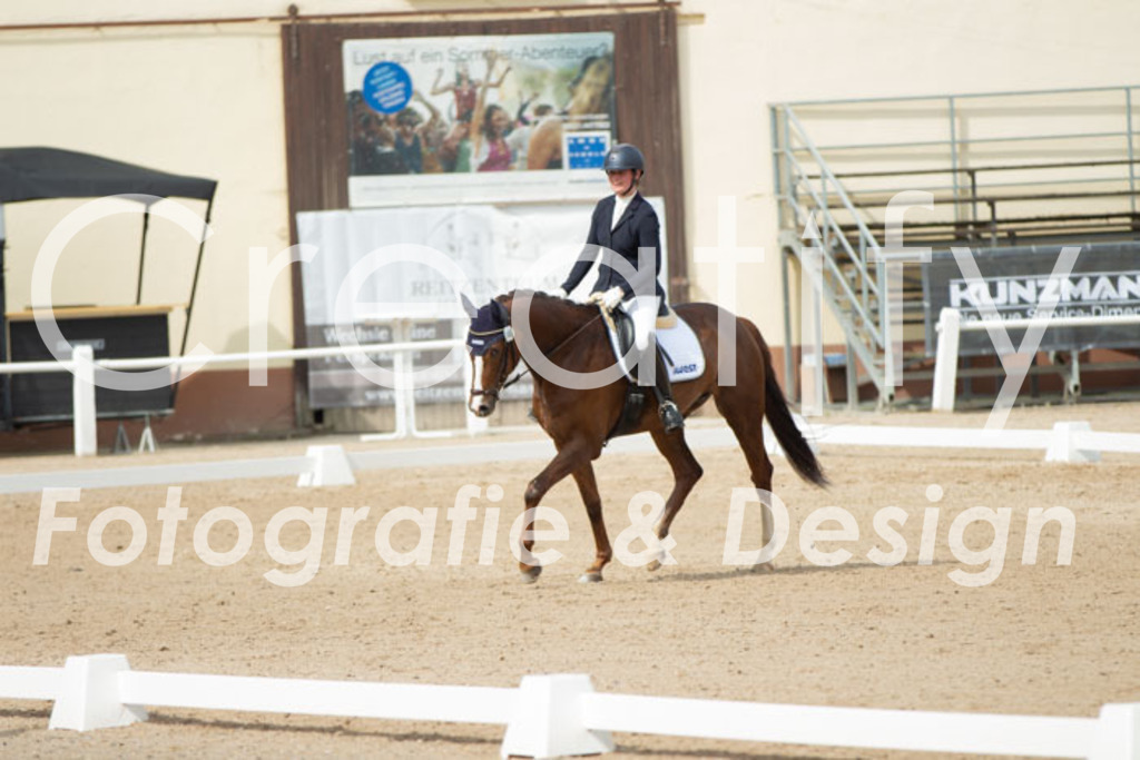 IMG_1663 | Creatify Fotografie