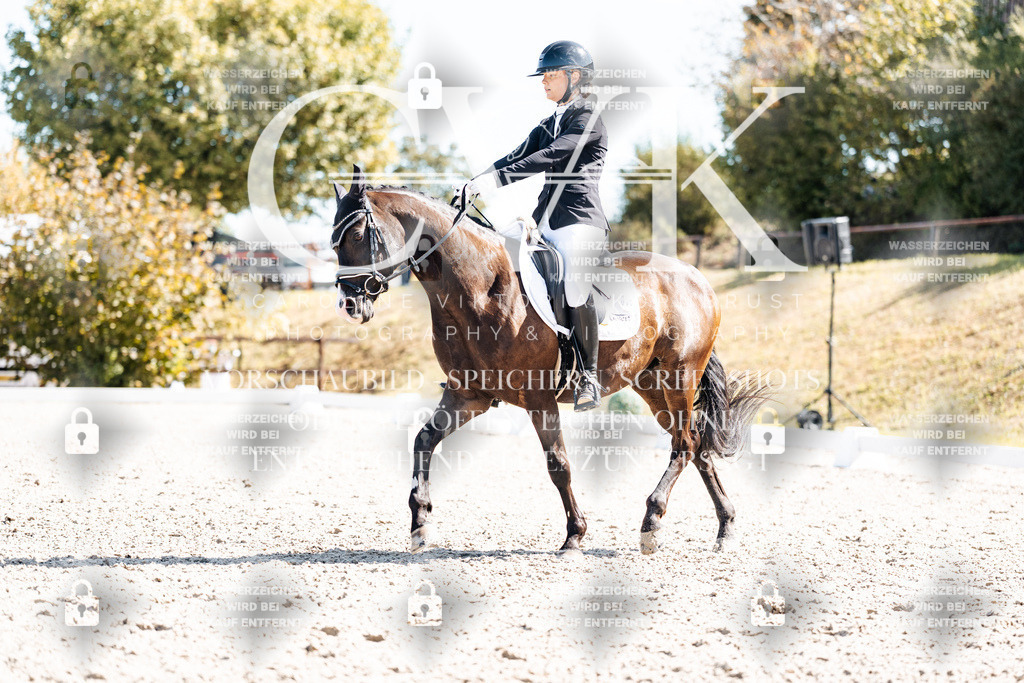 CK909501 | Turnierfotografie Pferdefotografie Trier Rheinland-Pfalz Pferdesport Reitsport Tierfotografie Sportfotografie Pferdevideo Pferdevideografie Equestrianvideography equestrianphotography  - Realisiert mit Pictrs.com