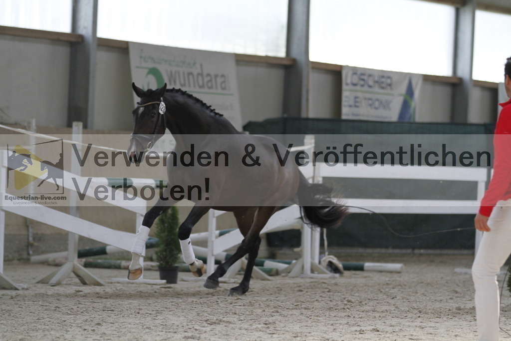 _MG_9816 | equestrian-live-com