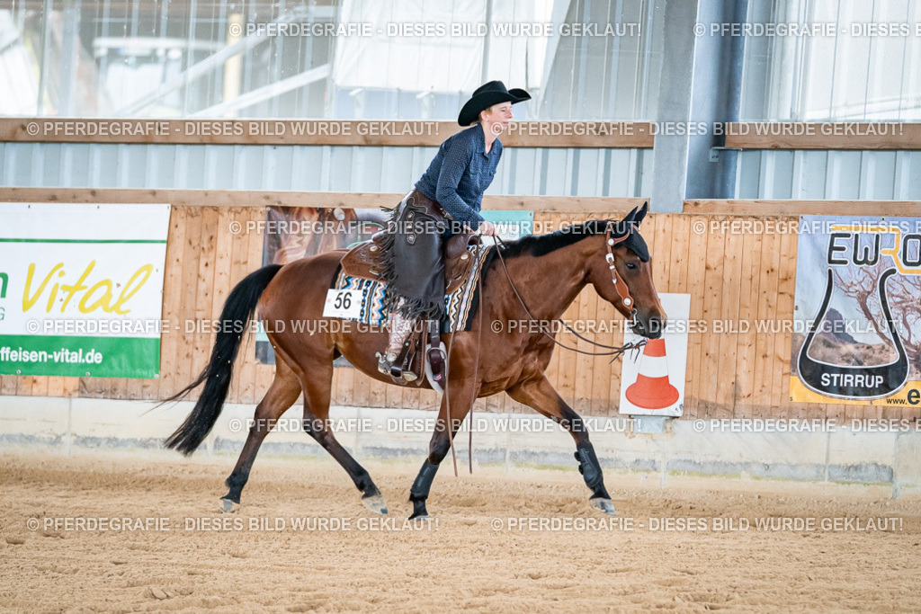 DSC08481 | Pferdegrafie