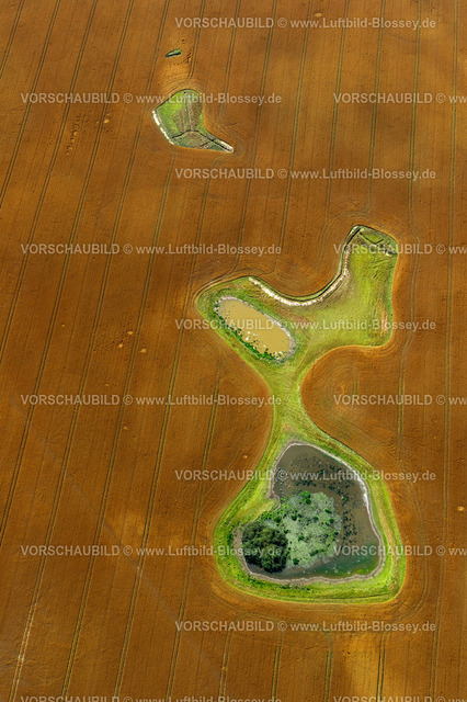 GrossSchwansee12084527 | abgeerntetes Feld mit Teichen und Wieseninseln, graphische Elemente,  Damshagen, Mecklenburg-Vorpommern, Deutschland, Europa