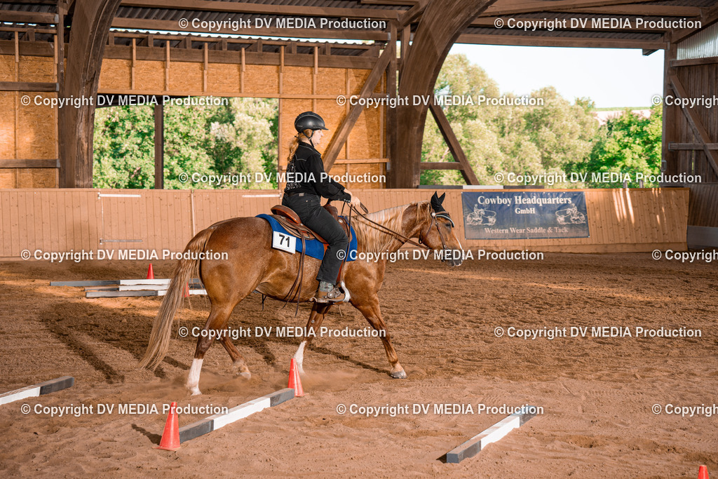 NE101229 | dv-media-shop - Realisiert mit Pictrs.com