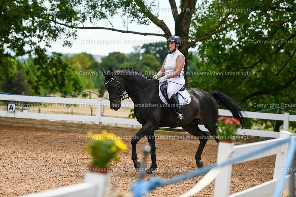 20230715_05_Dressurprüfung Kl.A++_0161 | equistock