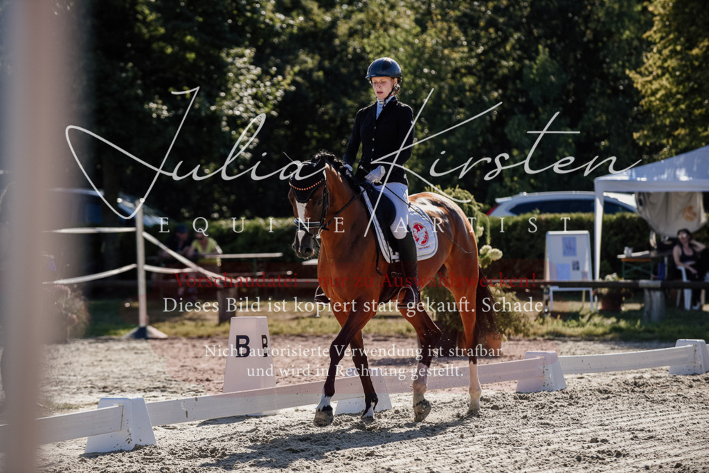 DSC_0338 | Pferde- und Turnierfotografie in Westsachsen. Pferdeportraits, Auftragszeichnungen und intuitive Kunst.