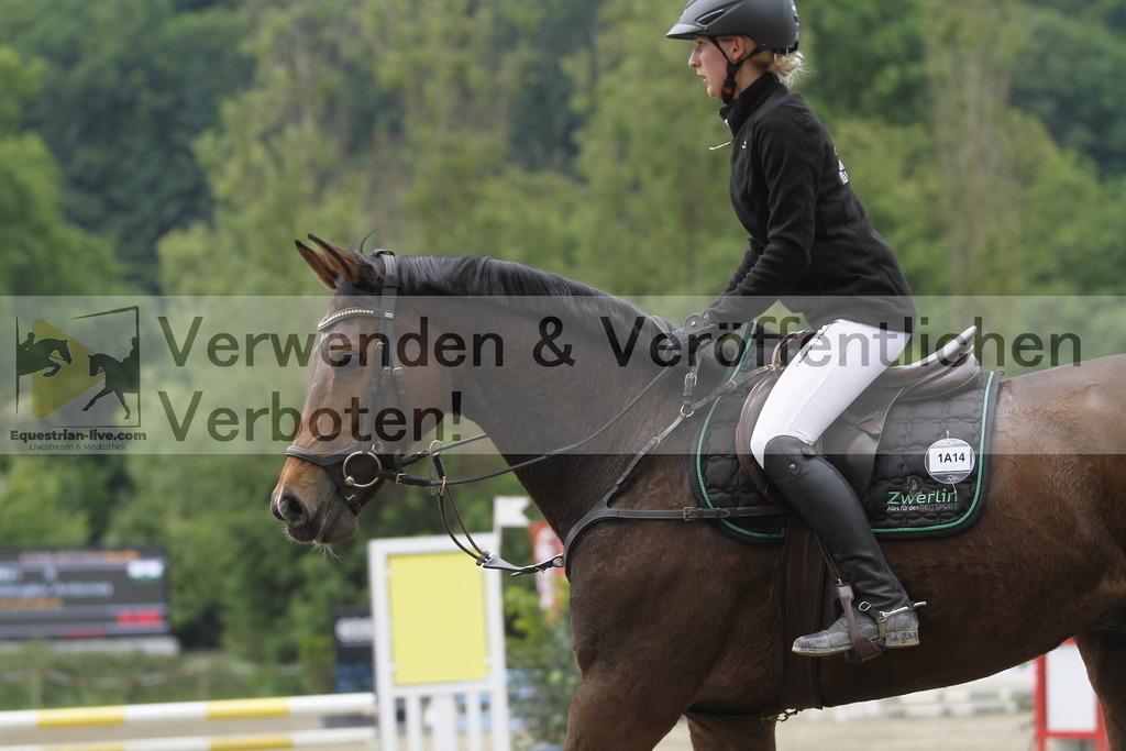 _MG_3753 | equestrian-live-com