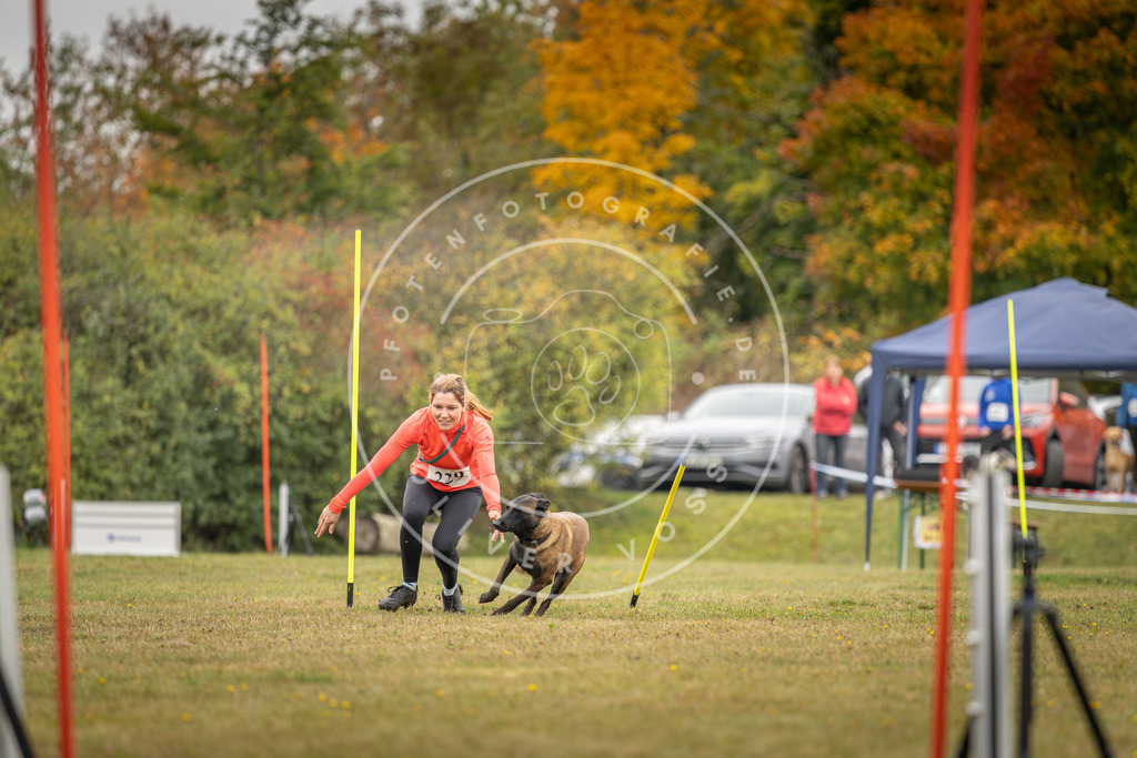 Pfotenfotografie_DV3A4091 | Hundefotografie, Tierfotograf, Pfotenfotografie, Fotoshooting Hund, Hunde Portrait, Hundesport, Hundeportraits, Heideshooting, Hunde, Sportfotograf, Hundefotograf, Turnierhundsport, THS,  - Realisiert mit Pictrs.com