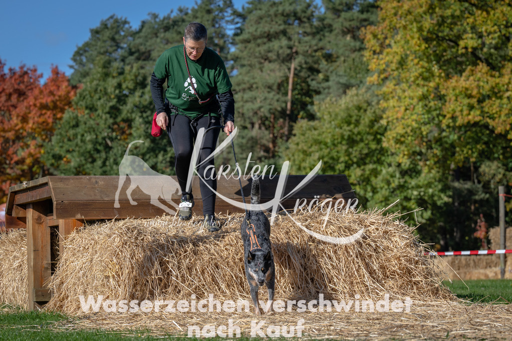 1140_ZZ91255 | kk-dogfotos