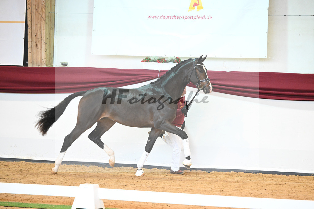 Kat-Nr. 31 v. Ferrantino_Lehner_66221795 | hf-fotografie - Realisiert mit Pictrs.com