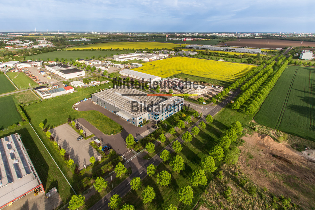 EMB Barleben - Lehmann-9368 | Firma EMB Rapsblüte in Barleben - Realisiert mit Pictrs.com