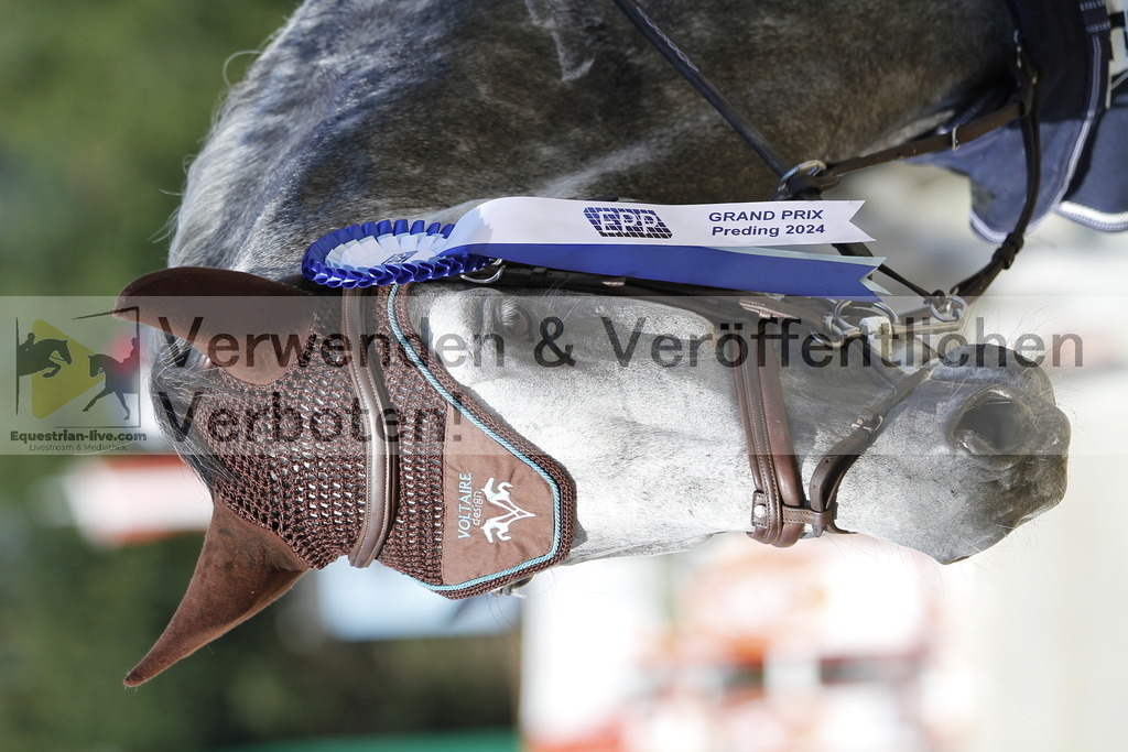 _MG_5435 | equestrian-live-com