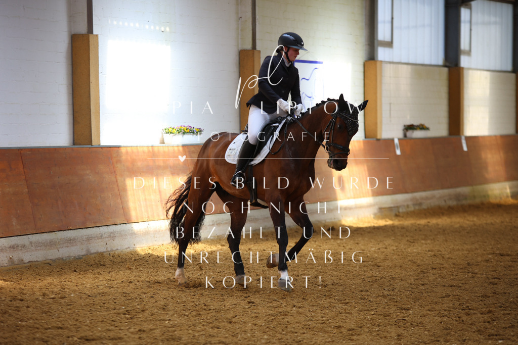 IMGT5075 | pl-fotografie