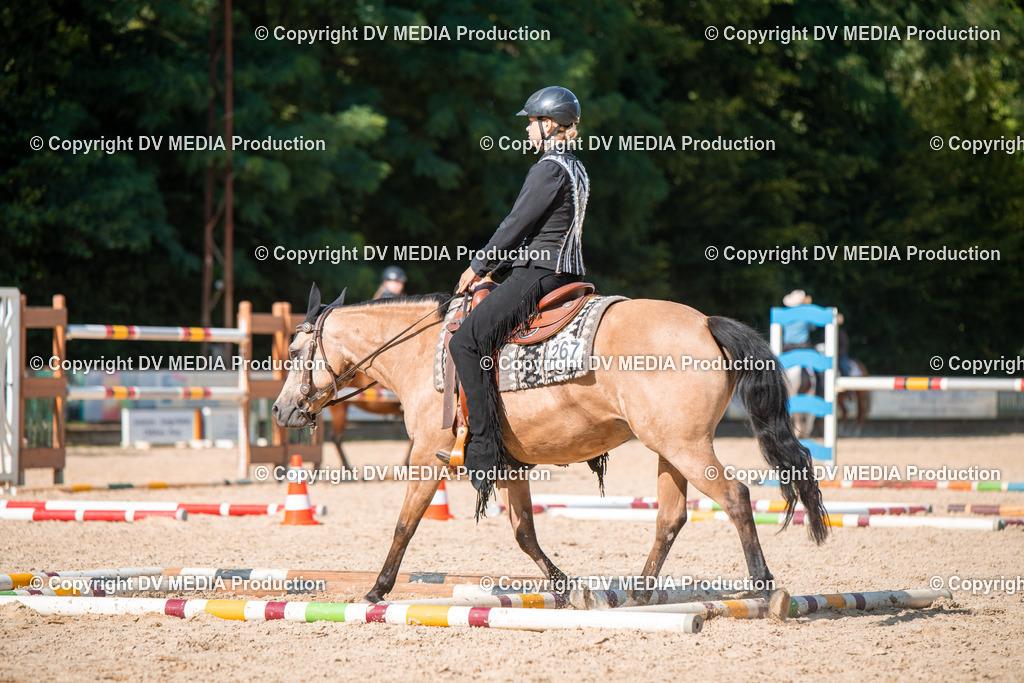 EWP_6947 | dv-media-shop - Realisiert mit Pictrs.com