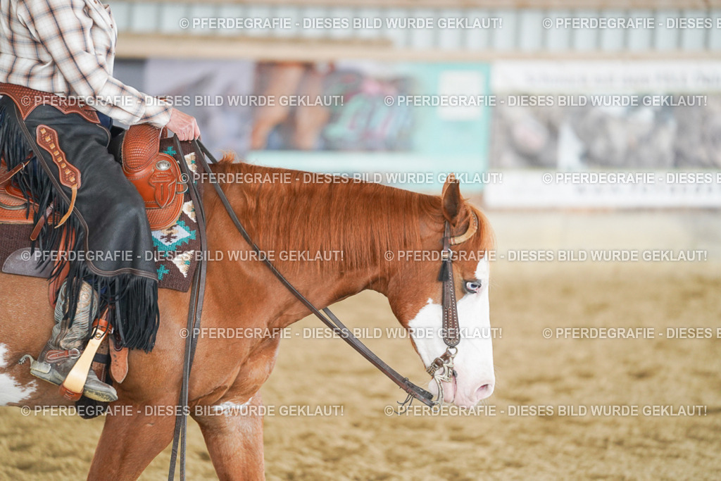 DSC04134 | Pferdegrafie