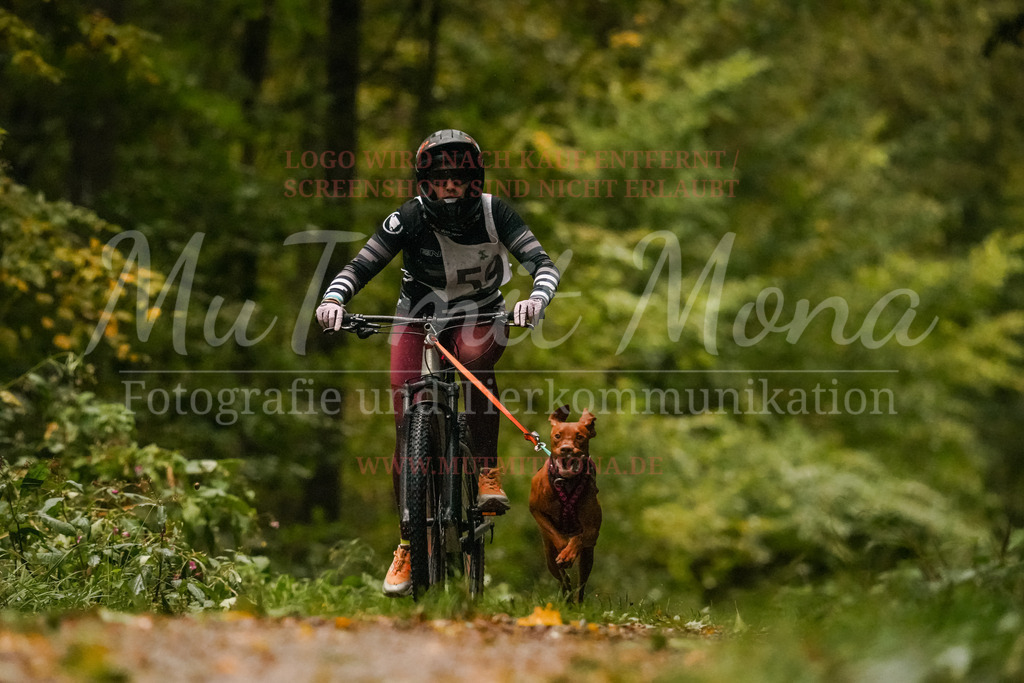 20251005_THS_Turnier-104 | MuT (Mensch und Tier) mit Mona - Fotografie und Tierkommunikation - Realisiert mit Pictrs.com