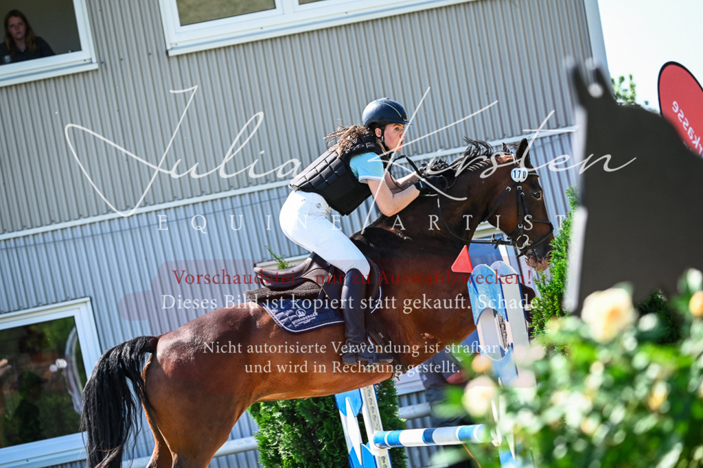 DSC_1484 | Pferde- und Turnierfotografie in Westsachsen. Pferdeportraits, Auftragszeichnungen und intuitive Kunst.