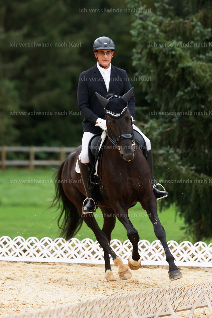 04_2-156-Dressur M__ -StoibPH-2871 | working equitationturnier fotograf videograf stoibphotography marixx film working equitation deutschland reitsport turnierfotografie eventfotografie equestrian events