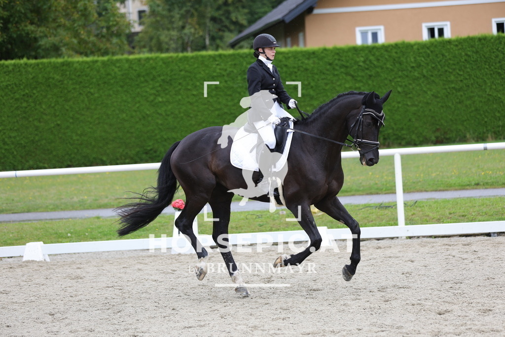 0P6A9403 | Willkommen bei Brunnmayr - Design & Fotografie – Ihrem Spezialisten für Reitturniere und Pferdeveranstaltungen in Oberösterreich, Salzburg und Bayern! Seit über 17 Jahren sind wir leidenschaftlich dabei.