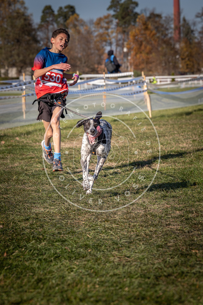 CaniXpix_0L8A7304 | Hundefotografie, Tierfotograf, Pfotenfotografie, Fotoshooting Hund, Hunde Portrait, Hundesport, Hundeportraits, Heideshooting, Hunde, Sportfotograf, Hundefotograf, Turnierhundsport, THS,  - Realisiert mit Pictrs.com