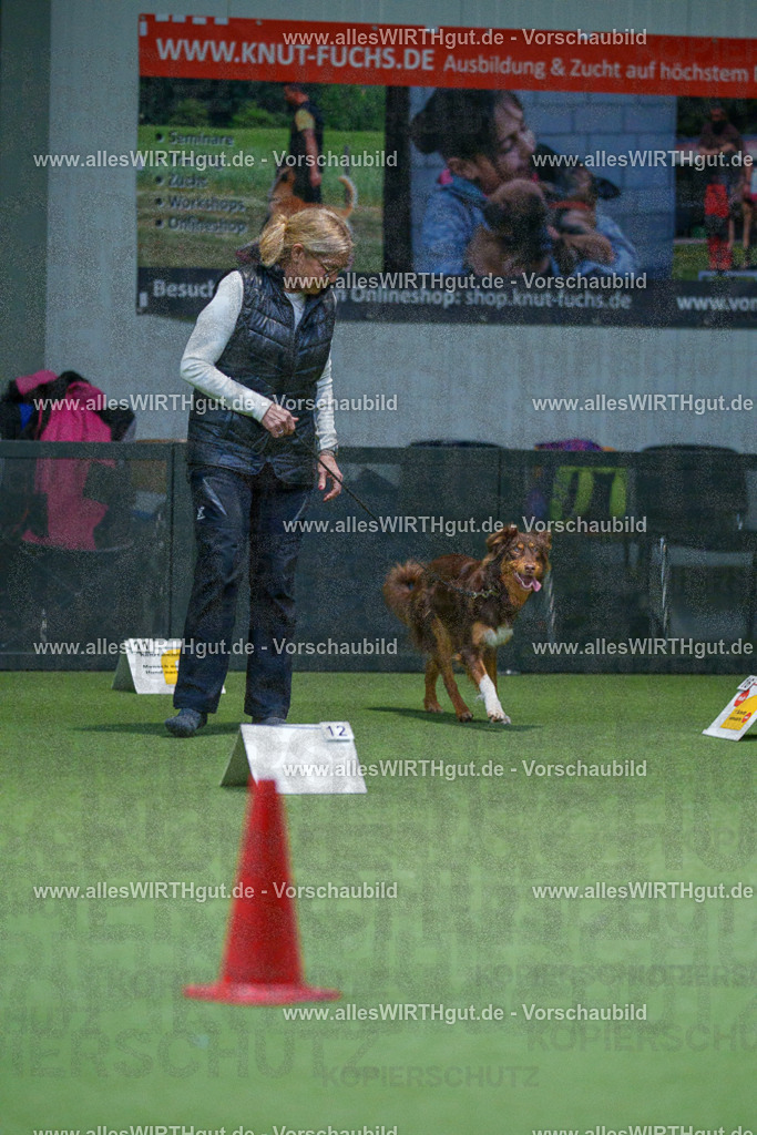 7R501353 | Professionelle Tierfotografie in Mönchengladbach von Daniel Wirth (allesWIRTHgut). Liebevolle & natürliche Bilder von Hunden & Katzen für unvergessliche Erinnerungen.