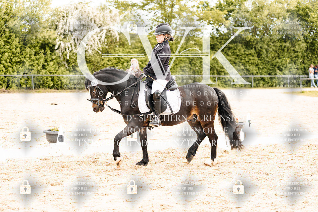CK904393 | Turnierfotografie Pferdefotografie Trier Rheinland-Pfalz Pferdesport Reitsport Tierfotografie Sportfotografie Pferdevideo Pferdevideografie Equestrianvideography equestrianphotography  - Realisiert mit Pictrs.com