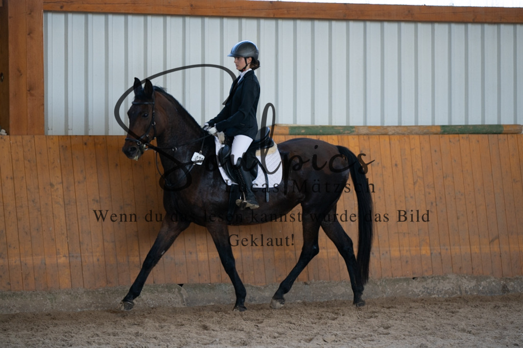 A7V02067 | Turnier/Reitfotograf
