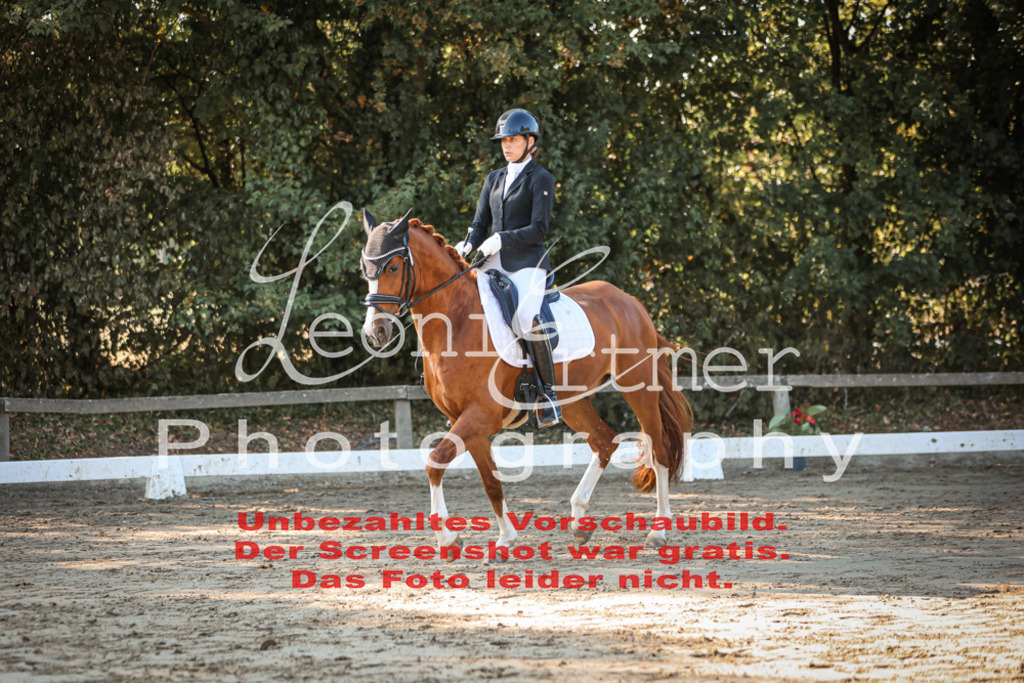 02.SaDrA00083 | Leoni Ertmer Photography - Realisiert mit Pictrs.com
