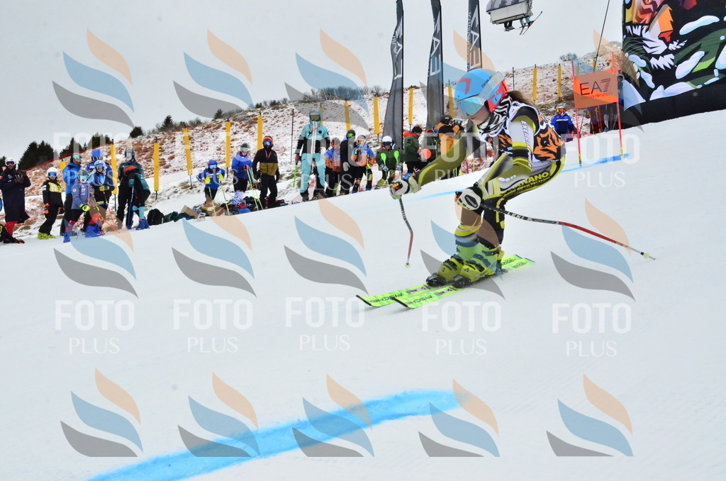 _ELE3266 | holidayphoto