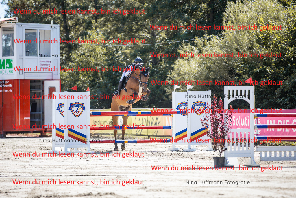 BK1A6628 | Turnierbilder Turnierfotos Nina Hüffmann Turnierfotografie Pferdefotografie Tierzeichnung Haustierzeichnung Pferdezeichnung Hundezeichnung Videograf  - Realisiert mit Pictrs.com
