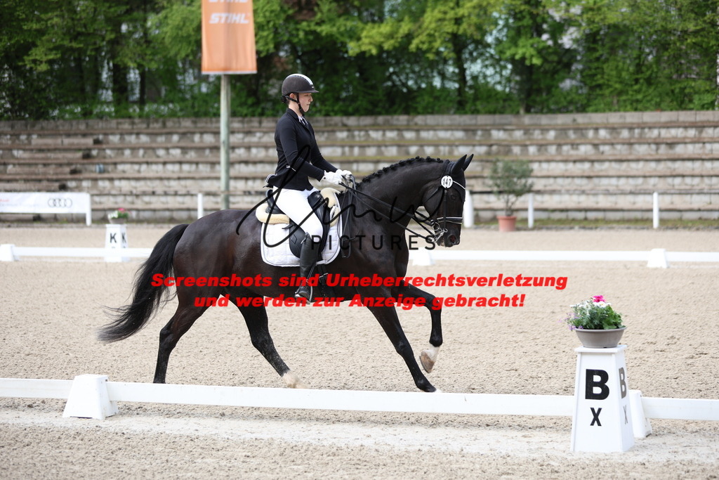 A40A0324 | lmwpictures - Realisiert mit Pictrs.com