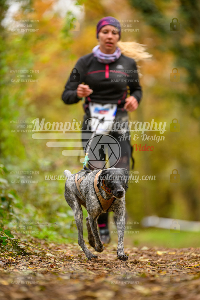 MompixPhotography_Bischwiller24_SA_Canicross-109 | PayLife