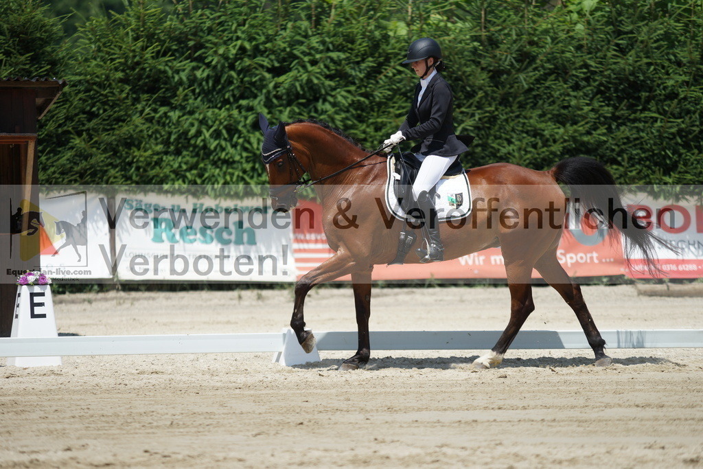 DSC04981 | equestrian-live-com