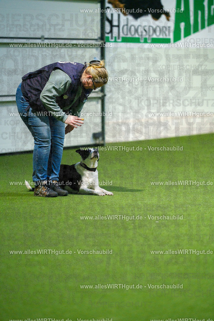 7R509840 | Professionelle Tierfotografie in Mönchengladbach von Daniel Wirth (allesWIRTHgut). Liebevolle & natürliche Bilder von Hunden & Katzen für unvergessliche Erinnerungen.