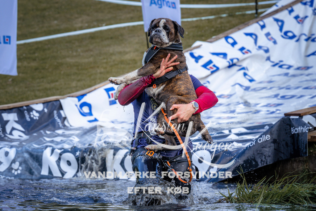 _ZZ921110922 | kk-dogfotos