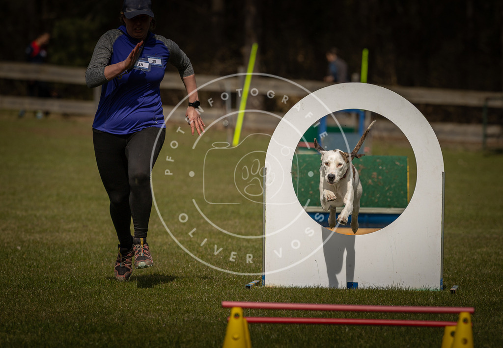 Pfotenfotografie_DV3A5544 | Hundefotografie, Tierfotograf, Pfotenfotografie, Fotoshooting Hund, Hunde Portrait, Hundesport, Hundeportraits, Heideshooting, Hunde, Sportfotograf, Hundefotograf, Turnierhundsport, THS,  - Realisiert mit Pictrs.com