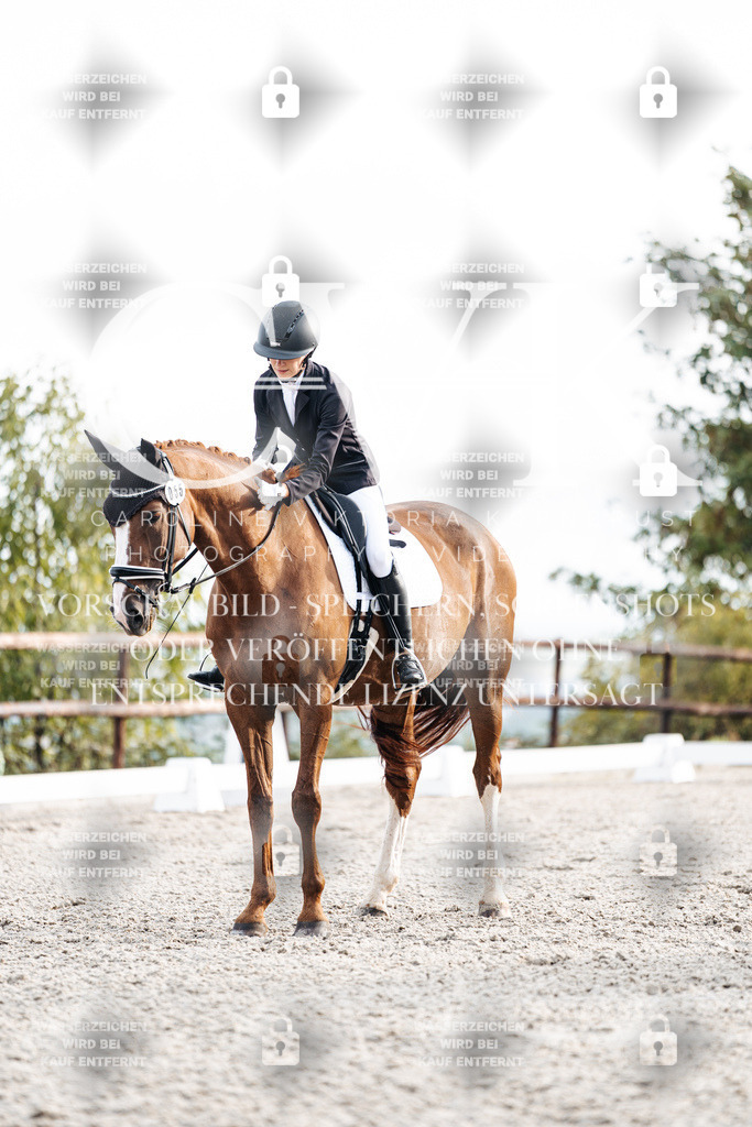 CK900607 | Turnierfotografie Pferdefotografie Trier Rheinland-Pfalz Pferdesport Reitsport Tierfotografie Sportfotografie Pferdevideo Pferdevideografie Equestrianvideography equestrianphotography  - Realisiert mit Pictrs.com