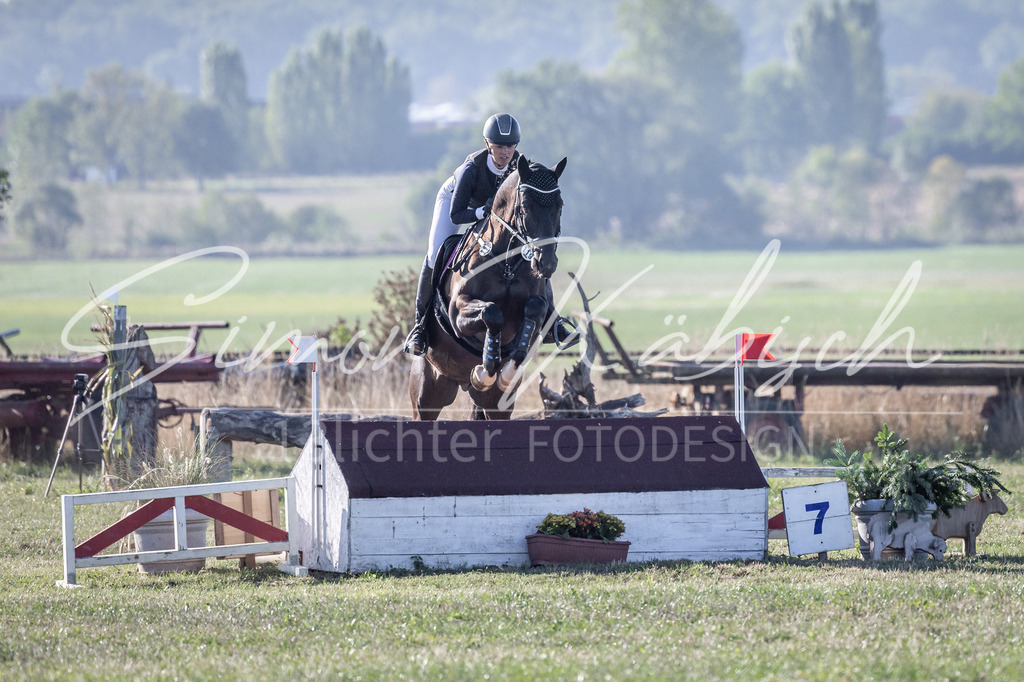 20260906-_3LI1291 | Tierfotografie Pferde, Hunde, Katzen, Haustiere.
Turnierfotografie Reitturniere, Reiten, Springreiten, Dressur in Hanau, dem Main-Kinzig-Kreis und dem Rhein-Main- Gebiet um Frankfurt