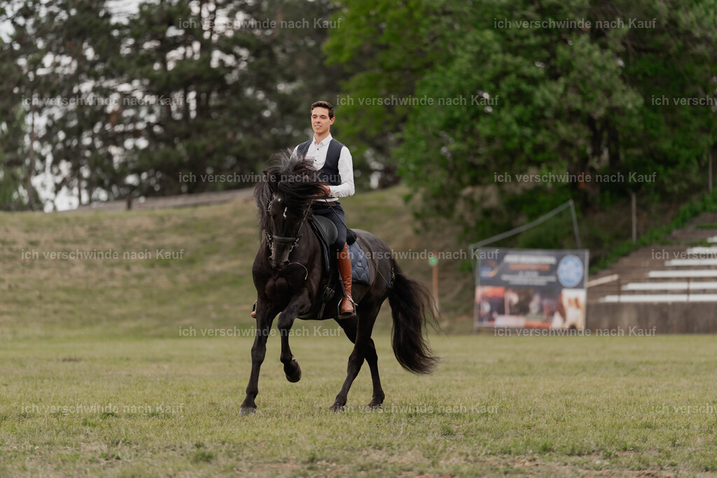 Showprogramm-410 | working equitationturnier fotograf videograf stoibphotography marixx film working equitation deutschland reitsport turnierfotografie eventfotografie equestrian events